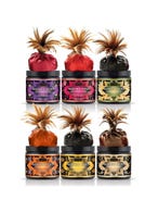 Poudre Corporelle Embrassable Honey Dust Chèvrefeuilles Doux