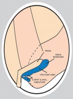 beauments come2gehter lila paarvibrator mood1 amorana