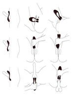 beauments doppio move blau paarvibrator verwendung amorana