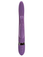 Desire Luxury Rechargeable Rabbit Vibrator Front