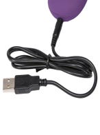 Desire Luxury Rechargeable Remote Control Knicker Vibrator usb