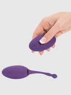 Desire Luxury Rechargeable Remote Control Love Egg Vibrator Controller