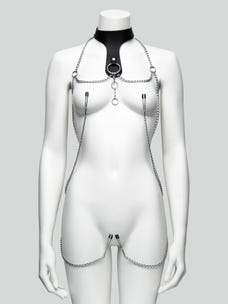 DOMINIX Deluxe Leather Collar with Clamps