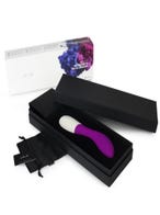 lelo mona wave deep rose vibrator verpackung amorana