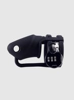 lock a willy penishulle amorana