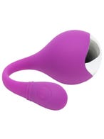 Lovehoney Ignite 20 Function Vibrating Love Egg amorana