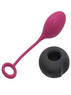 Mantric Rechargeable Remote Control Egg Vibrator controller
