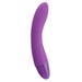 PicoBong Zizo Classic vibrator